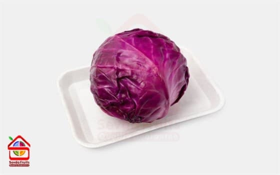 کلم بنفش ممتاز