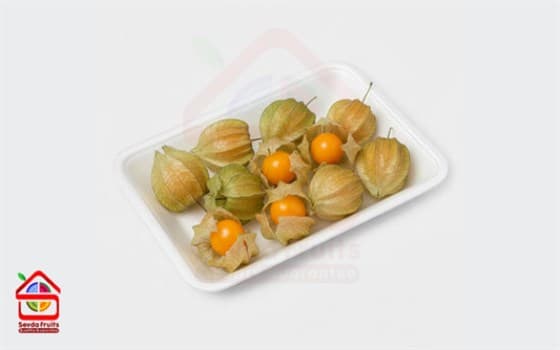 فیسالیس (گلدن بری) ممتاز