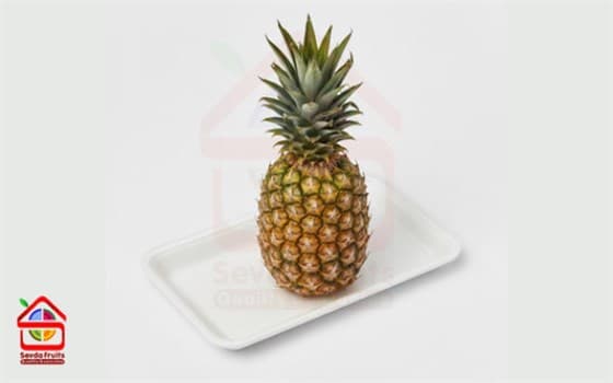 آناناس وارداتی ممتاز