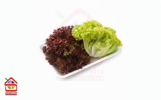 کاهو فرانسوی ممتاز