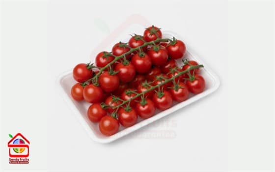 گوجه فرنگی خوشه ای ممتاز