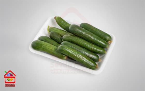 خیار گلخانه ای ممتاز