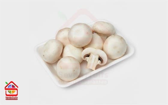 قارچ سفید ممتاز