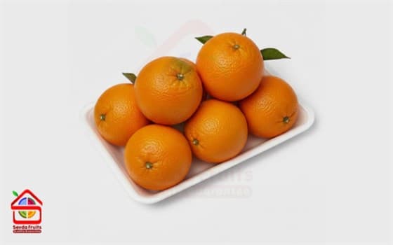 نارنج ممتاز